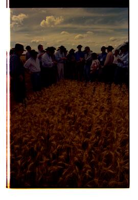 BR MTAPMT SCS-200-210-212-212.9-36324 14