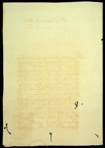 Open original Document numérique
