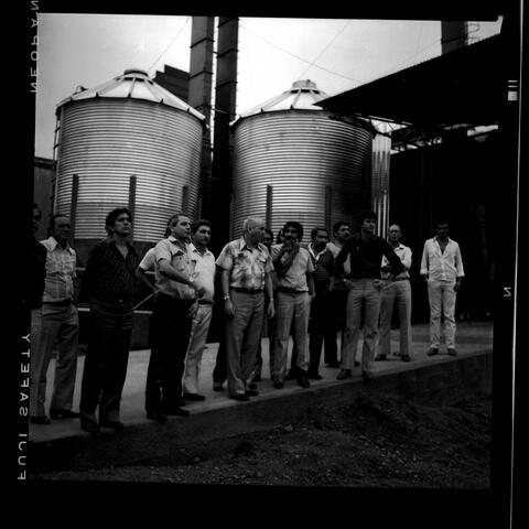 Open original Digital object