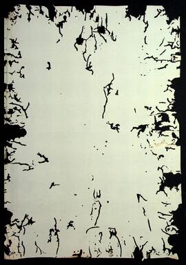 BR MTAPMT SG-CA-0692 3