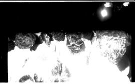BR MTAPMT SCS-000-020-025-025.4-30263 11