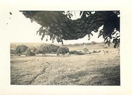 BR MTAPMT COL-900-990-991-00010 1