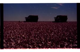 BR MTAPMT SCS-200-210-212-212.9-36301 55