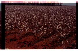 BR MTAPMT SCS-200-210-212-212.9-36301 2