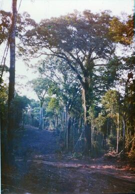 BR MT APMT.JRC.CD.AP.0066 5