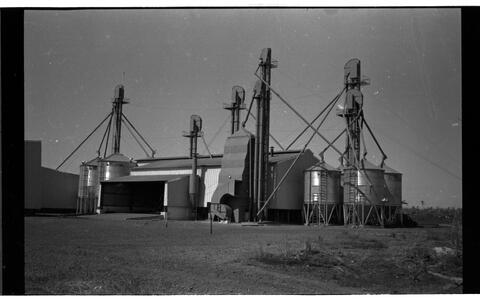 Open original Digital object