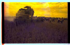 BR MTAPMT SCS-200-210-212-212.9-36324 20