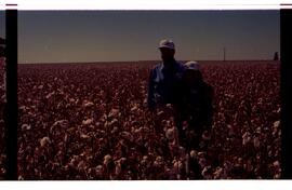 BR MTAPMT SCS-200-210-212-212.9-36301 43