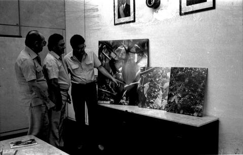 Open original Digital object