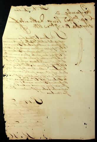 Open original Document numérique