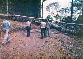 BR MT APMT.JRC.CD.AP.0070  3