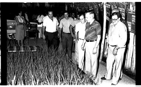 Open original Digitaal object