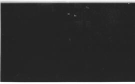 BR MTAPMT SCS-000-010-011-011.2-29602 2
