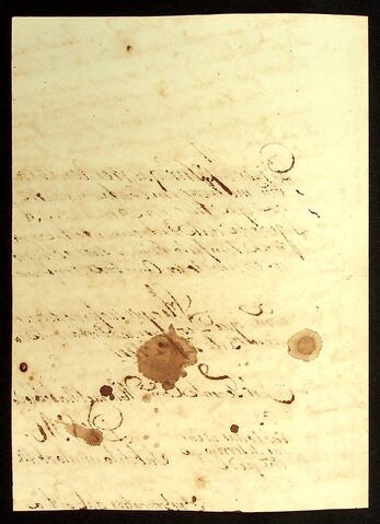 Open original Document numérique