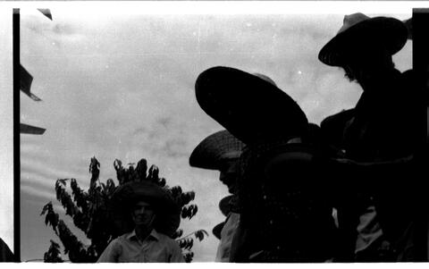 Open original Digitaal object