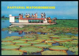 BR MTAPMT COL-900-990-991-00023 1