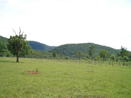 BR MT APMT.JRC.SM.PSB.0215 2