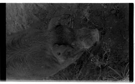 BR MTAPMT SCS-200-210-216-216.5-30097 29