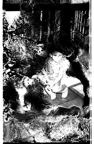 Open original Document numérique