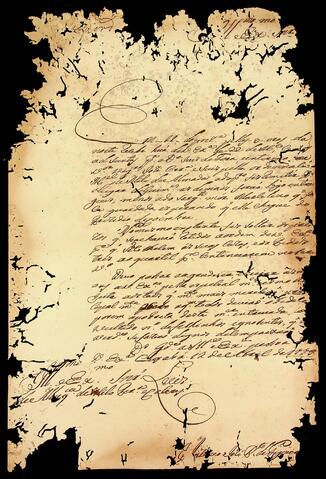 Open original Document numérique