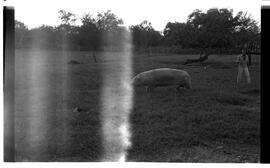 BR MTAPMT SCS-200-210-216-216.5-30097 30