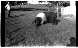 BR MTAPMT SCS-200-210-216-216.5-30097 20