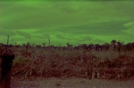 BR MT APMT.JRC.CD.AS.0169 2