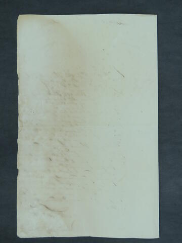 Open original Document numérique