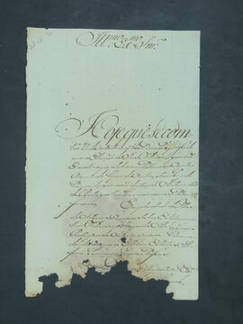 BR MTAPMT CVB-CA-0250  1