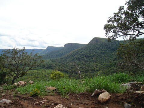 Open original Digital object