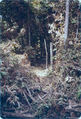 BR MT APMT.JRC.CD.AP.0066 6