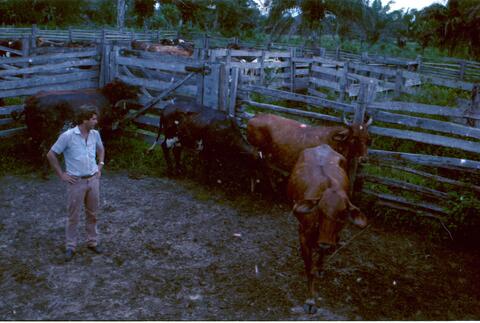 Open original Digitaal object