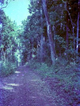 BR MT APMT.JRC.CD.AP.0081 9
