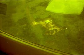 BR MT APMT.JRC.CD.AP.0092 2