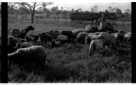 BR MTAPMT SCS-200-210-216-216.5-30097 22