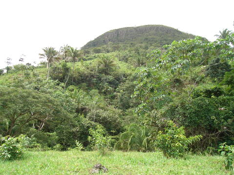 Open original Digital object