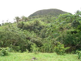 BR MT APMT.JRC.SM.PSB.0217 1