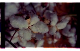 BR MTAPMT SCS-200-210-212-212.9-36324 51