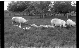 BR MTAPMT SCS-200-210-216-216.5-30097 14