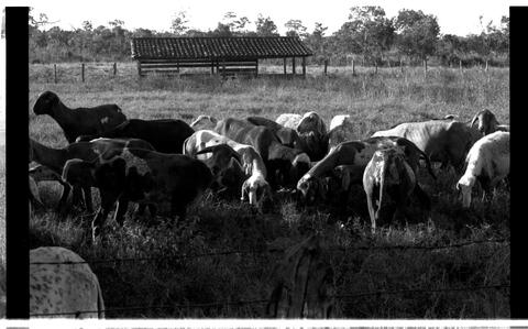 Open original Digitaal object