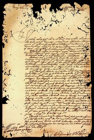 Open original Document numérique