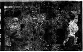 BR MTAPMT SCS-800-820-822-822.9-29829 9