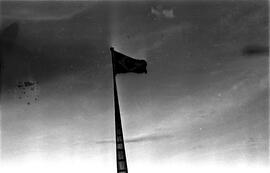 BR MTAPMT SCS-000-010-011-011.6-27735 5