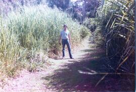 BR MT APMT.JRC.CD.AP.0074 3