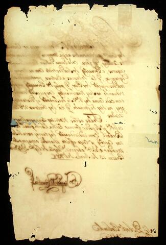 Open original Document numérique