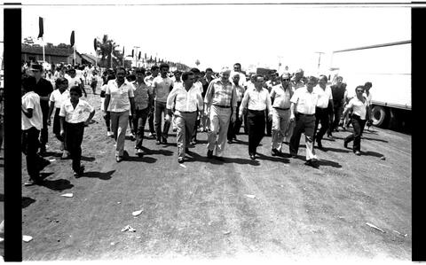 Open original Document numérique