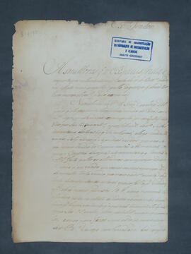 BR MTAPMT FNSC-CA-0131-01