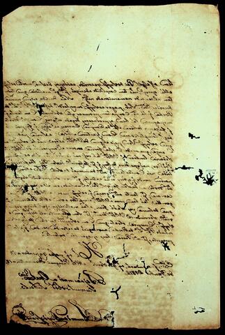 Open original Document numérique