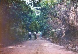 BR MT APMT.JRC.CD.AP.0070  1