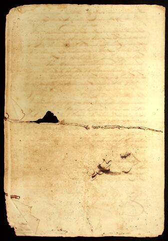 Open original Document numérique